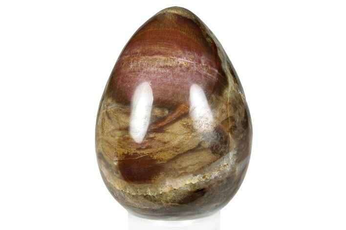 Colorful, Polished Petrified Wood Egg - Madagascar #286060